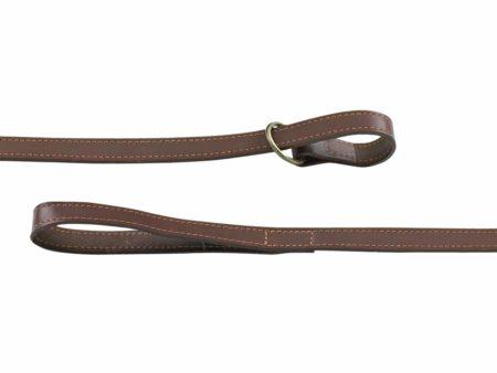 Leather Collar and Leash