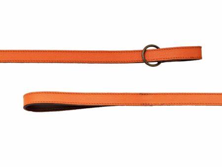 Leather Collar and Leash