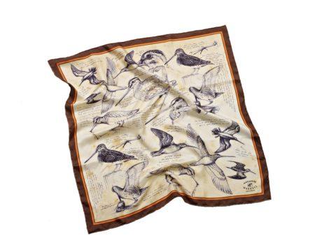 Silk scarf-snipe